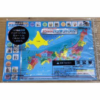 ベネッセ(Benesse)の進研ゼミ　都道府県パズル(知育玩具)