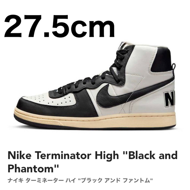 NIKE(ナイキ)のNike Torminator メンズの靴/シューズ(スニーカー)の商品写真