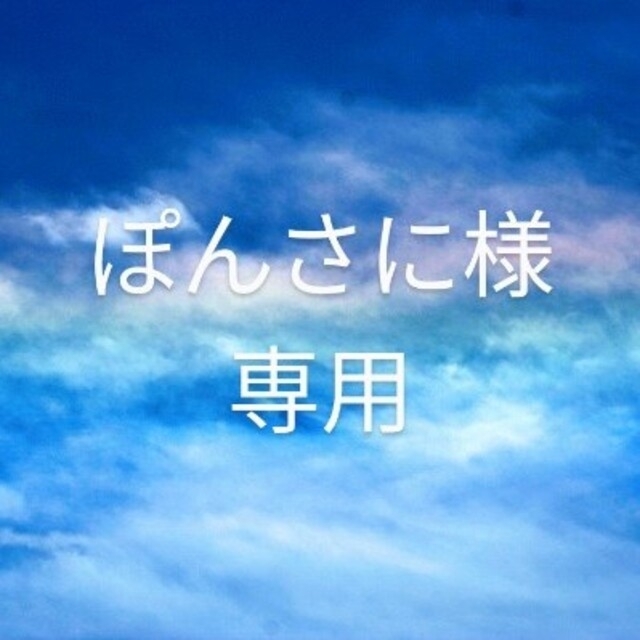 ぽんさに様専用 bluke.com.br