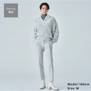 プラステ(PLST)のPLUS STYLE スティックパンツ（ウォームリザーブ(カジュアルパンツ)