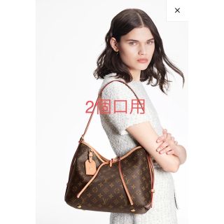 ルイヴィトン(LOUIS VUITTON)のルイヴィトン　完売　キャリー　オール　NM PM(ショルダーバッグ)