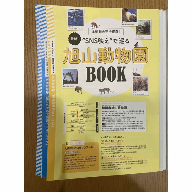 ＆ＴＲＡＶＥＬ北海道ハンディ版 まるごと、最新北海道まとめ ２０１９ エンタメ/ホビーの本(地図/旅行ガイド)の商品写真