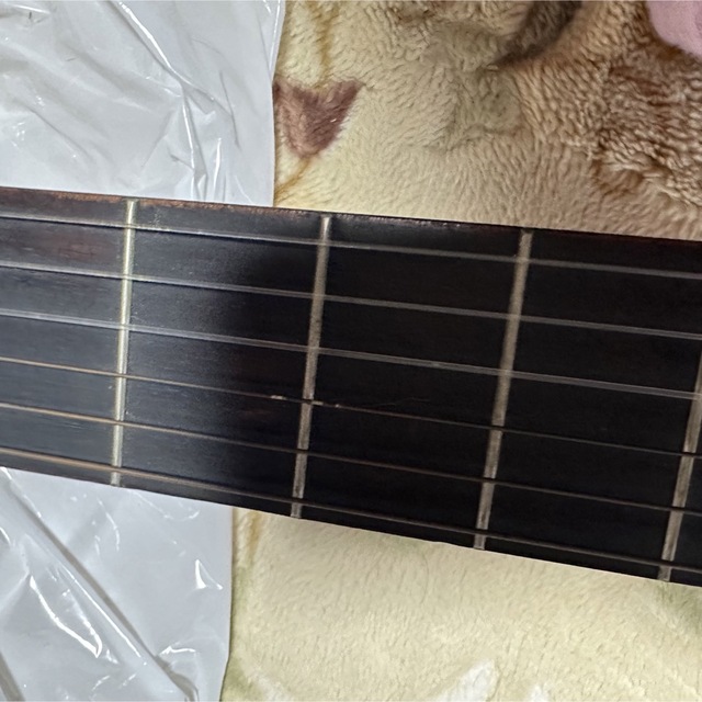 YAMAHA ShinanoGuitar 信濃ギター 2つセット | www