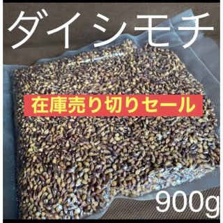 ダイシモチ玄麦900g(米/穀物)