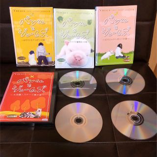 アラシ(嵐)のパンくんとジェームズ 志村どうぶつ園 志村けん 猿 犬(お笑い/バラエティ)