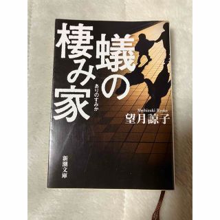 蟻の棲み家　望月諒子(文学/小説)