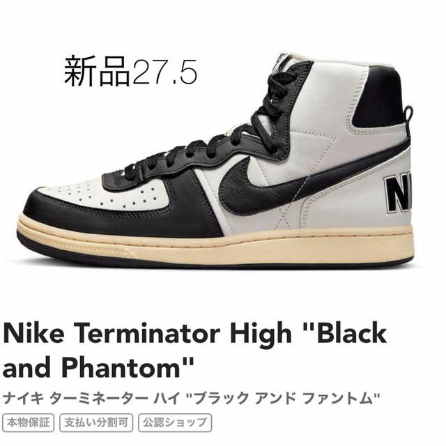 NIKE ターミネーター HIGH BLACK and Phantom