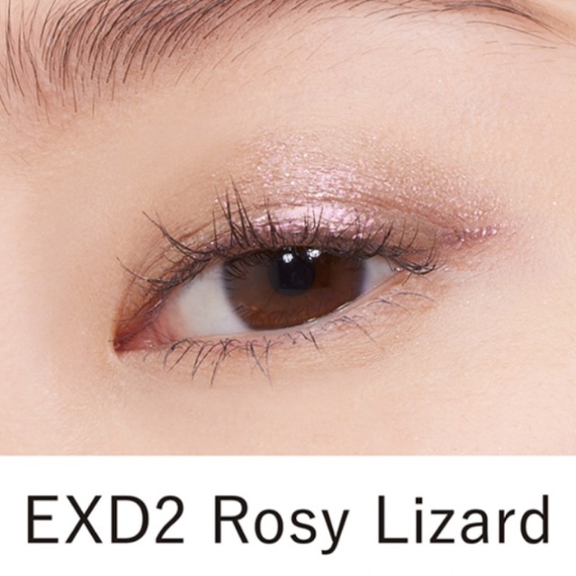 Kanebo(カネボウ)のカネボウ/デジタルニュアンサー EXD2 Rosy Lizard コスメ/美容のベースメイク/化粧品(アイシャドウ)の商品写真