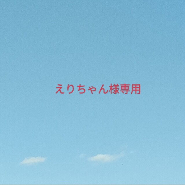 最新作の えりちゃん専用 ロングスカート - www.forestpacking.net