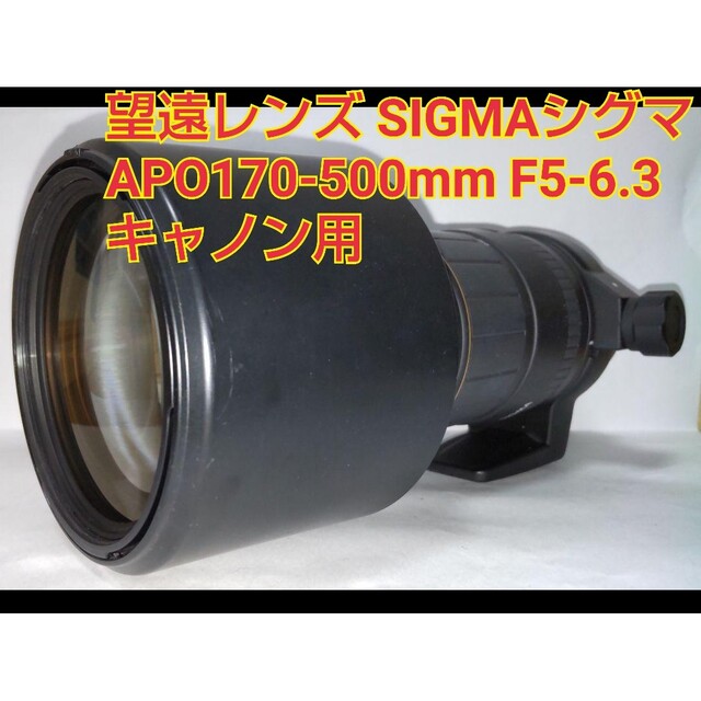 望遠レンズ SIGMAシグマ APO170-500mm F5-6.3 キャノン用
