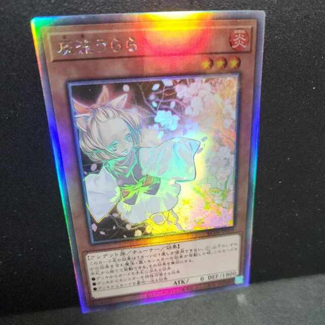 遊戯王 灰流うらら ホロ ホログラフィックレア | eclipseseal.com