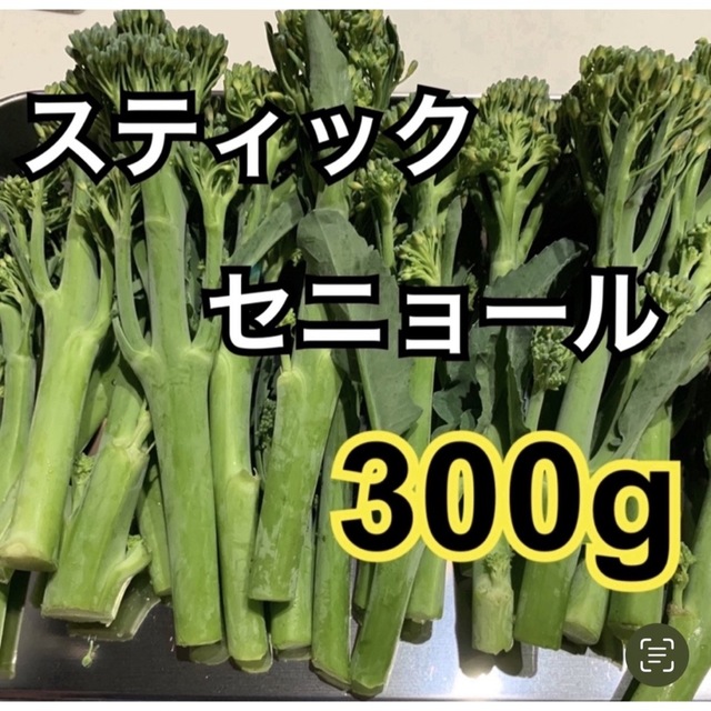 スティックセニョール　300g 食品/飲料/酒の食品(野菜)の商品写真