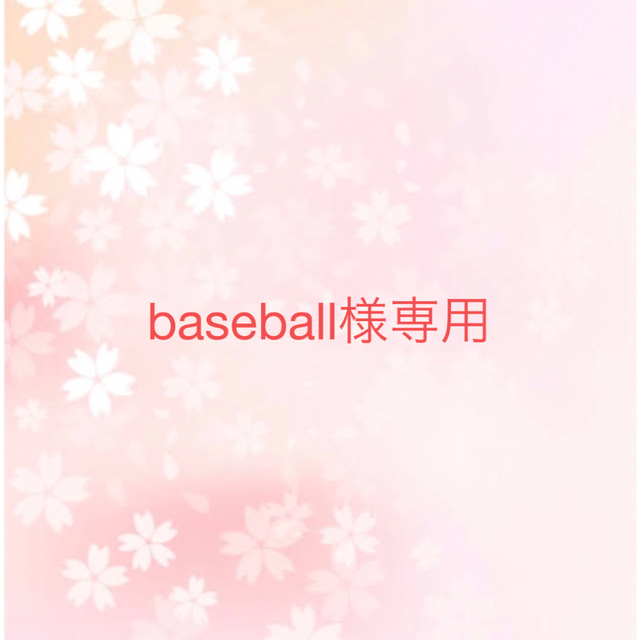 baseball様専用 レディースのレディース その他(その他)の商品写真