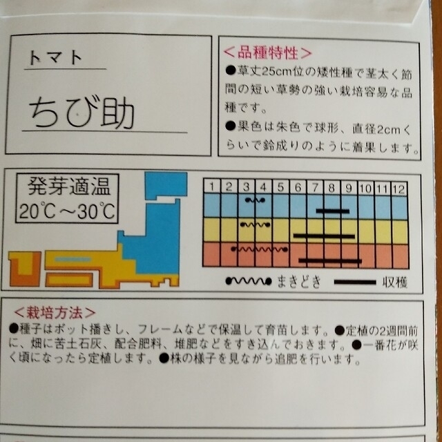 野菜タネ　ミニトマト種　ちび助　種子25粒　正規品　支柱不要　わき芽取り不要 食品/飲料/酒の食品(野菜)の商品写真