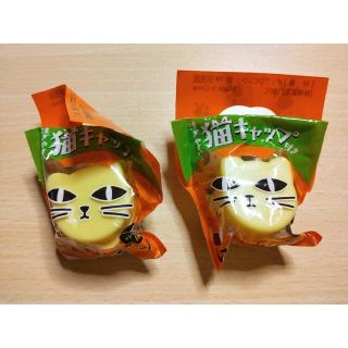 ボス(BOSS)の猫キャップ カフェベース BOSS 2個 セット ペットボトルキャップ(その他)