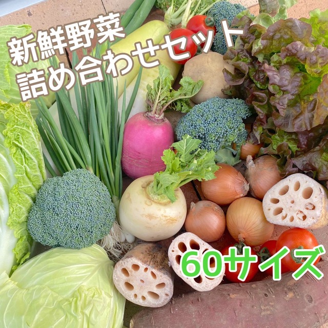【新鮮!美味しい!】季節の採れたて野菜 詰め合わせセット 60サイズ 食品/飲料/酒の食品(野菜)の商品写真