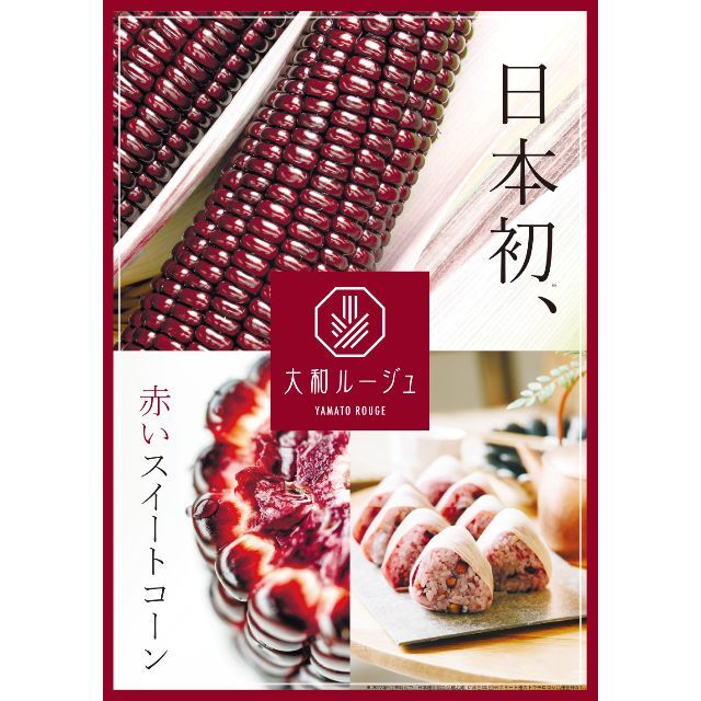 ＜野菜の種＞３０粒　赤いトウモロコシ　F1大和ルージュ　スイートコーン　日本初 ハンドメイドのフラワー/ガーデン(プランター)の商品写真