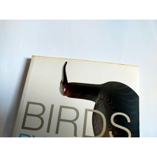 iittala(イッタラ)のBIRDS BY TOIKKA　洋書　オイバトイッカ エンタメ/ホビーの本(洋書)の商品写真