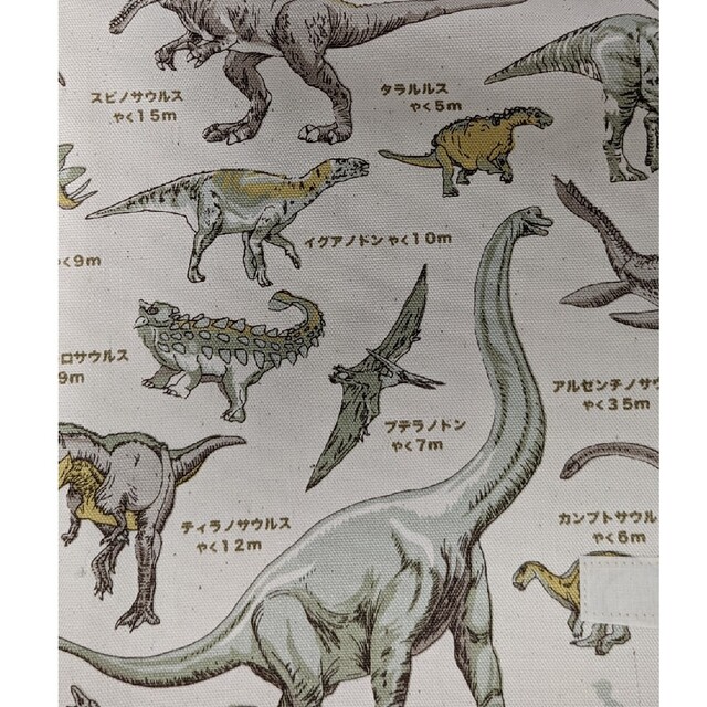 給食用ランチマット　恐竜柄　40×50 2枚セット ハンドメイドのキッズ/ベビー(外出用品)の商品写真