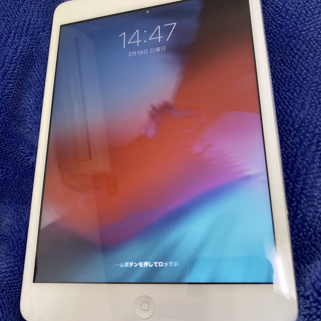 iPad mini2 16GB セルラー（docomo） 1