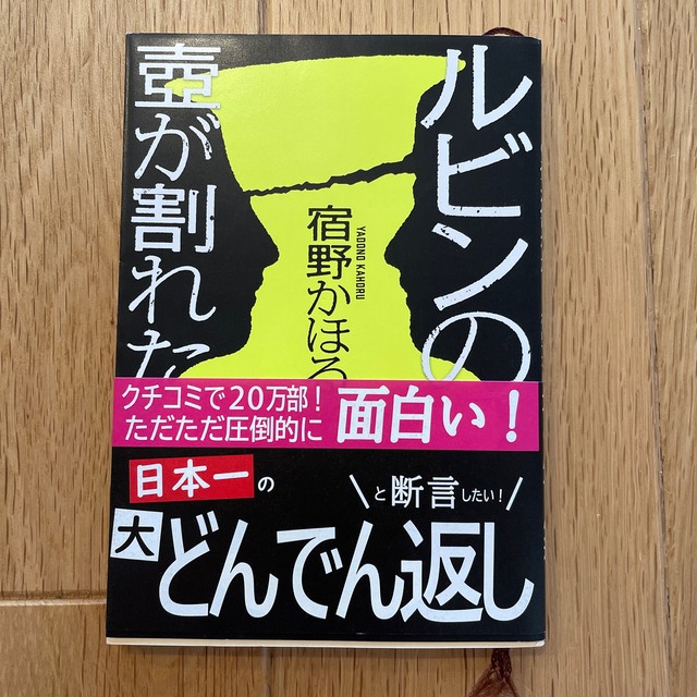 ルビンの壺が割れた エンタメ/ホビーの本(その他)の商品写真