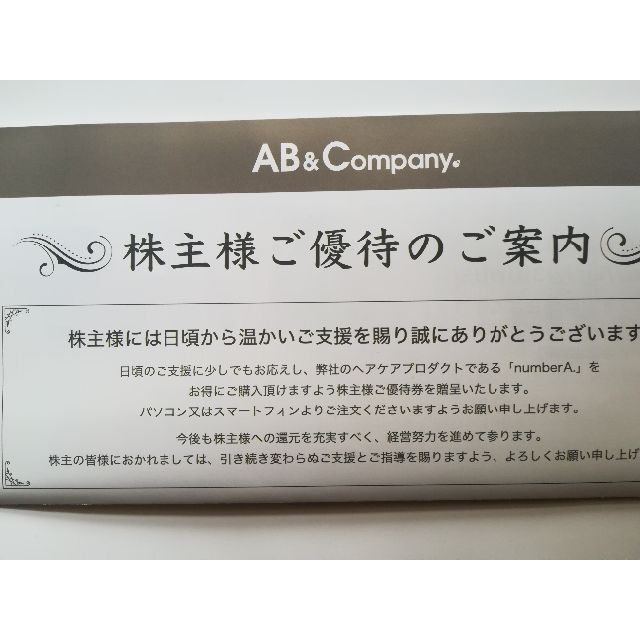 【匿名送料無料】AB＆Company株主優待8000円相当2024年1月31日迄 1