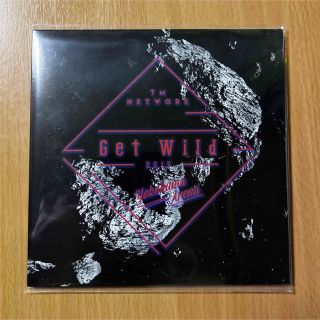 TM NETWORK / Get Wild 2015(ポップス/ロック(邦楽))