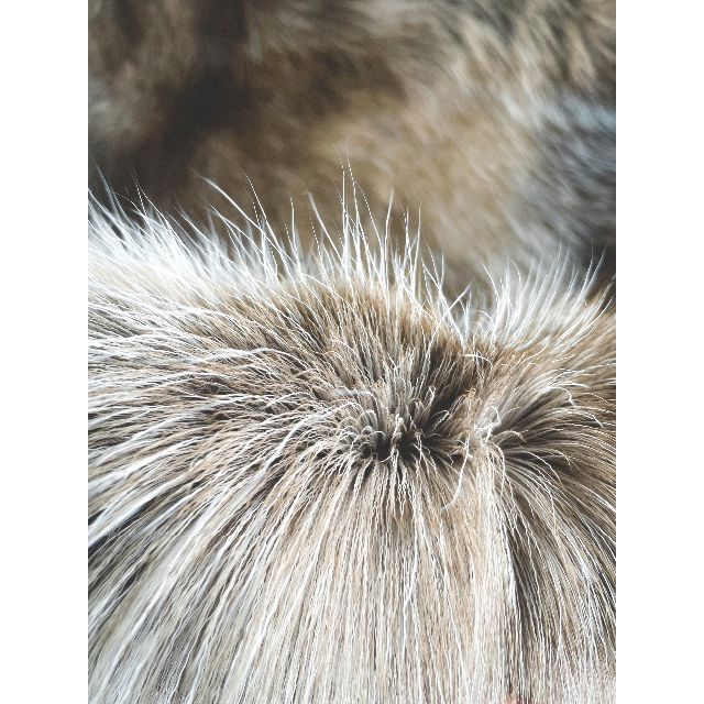 新品】スウェーデン産 トナカイの毛皮 アウトドア仕様 reindeer www