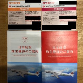 ジャル(ニホンコウクウ)(JAL(日本航空))のJAL 株主割引券　2枚　有効期間　〜2023年11月　〜2024年5月(その他)