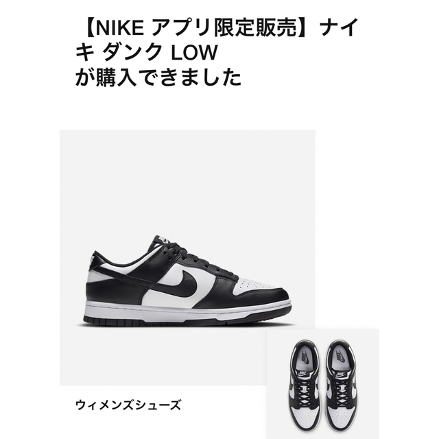 Nike WMNS Dunk Low靴/シューズ