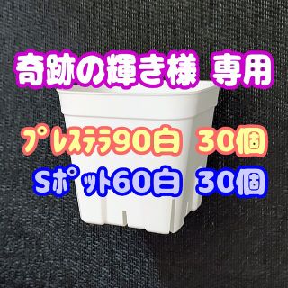 【スリット鉢】プレステラ90白30個 他 多肉植物 プラ鉢(プランター)