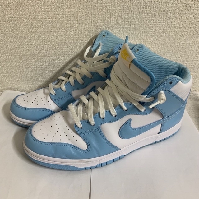 NIKE 29.0cm DUNK HI RETRO DD1399-401