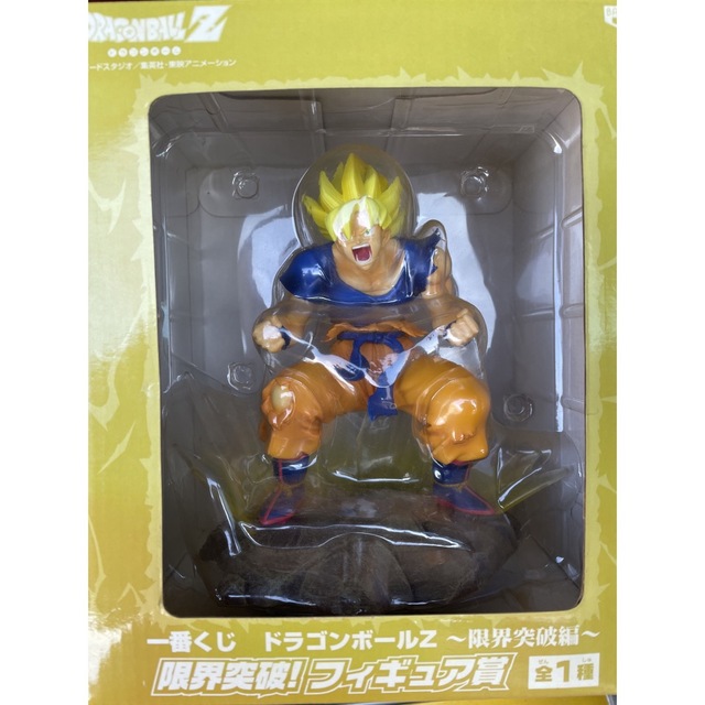 ボタニカル ミディアムベール ドラゴンボールZ限界突破編 フルコンプ