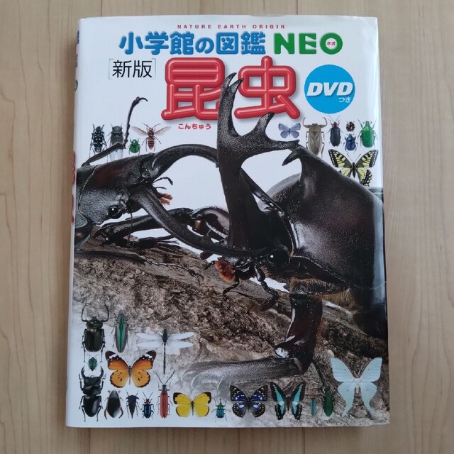 小学館(ショウガクカン)の小学館の図鑑neo 昆虫 エンタメ/ホビーの本(絵本/児童書)の商品写真