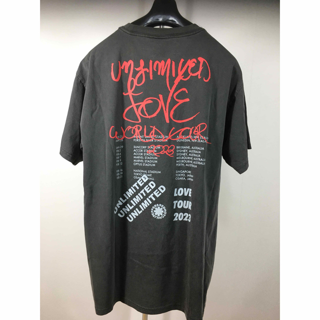 新品　レッチリ　Tシャツ　2023 ツアーT  東京ドーム 5