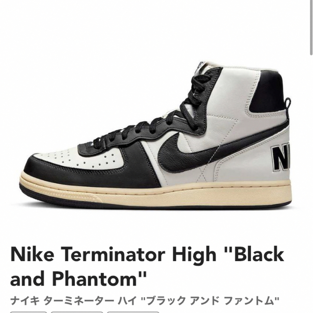 Nike Terminator High "Black and Phantom"