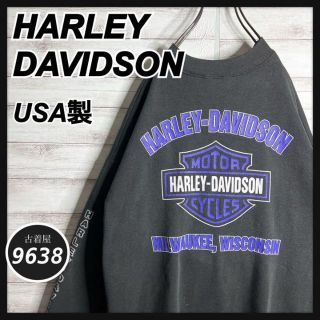 ハーレーダビッドソン(Harley Davidson)の【入手困難!!】ハーレーダビッドソン ✈︎刺繍 ゆるだぼ トレーナー バックロゴ(スウェット)