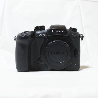 パナソニック(Panasonic)のPanasonic LUMIX GH5 ボディ DC-GH5-K【V-Log 有(ミラーレス一眼)