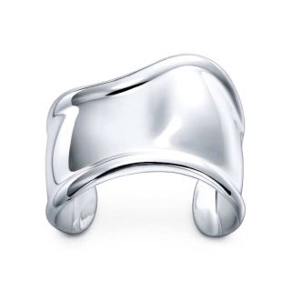 Tiffany オーキッドドロップ ネックレス 希少 レディース アクセサリー