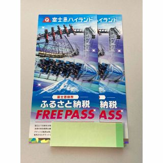 富士急ハイランド フリーパス 2枚 ペア(遊園地/テーマパーク)