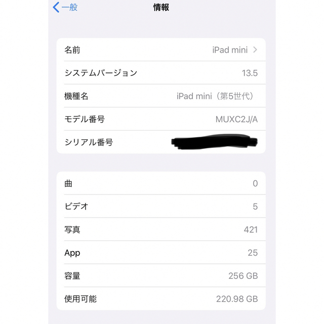 iPad mini5 256GB Cellular - 5