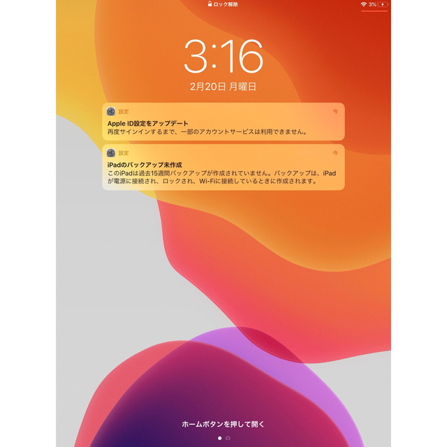iPad mini5 256GB Cellular - 4