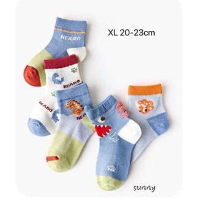 1390XL キッズ ソックス 子供靴下 恐竜柄 (20-23)メッシュ 5足組