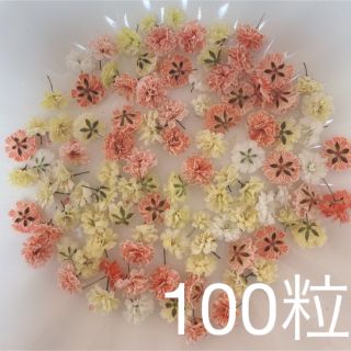 オレンジ系 かすみ草ドライフラワー100粒(ドライフラワー)