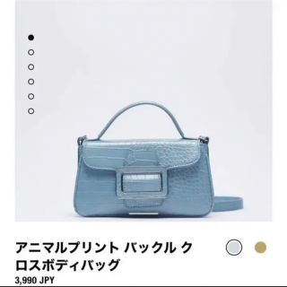 ザラ(ZARA)の【ほぼ新品】アニマルプリント　ZARAクロスボディバッグ　ショルダーバッグ(ショルダーバッグ)