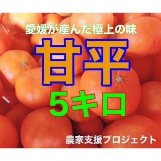 甘平5キロ (フルーツ)