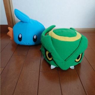 ポケモン(ポケモン)のポケモン　帽子セット(帽子)