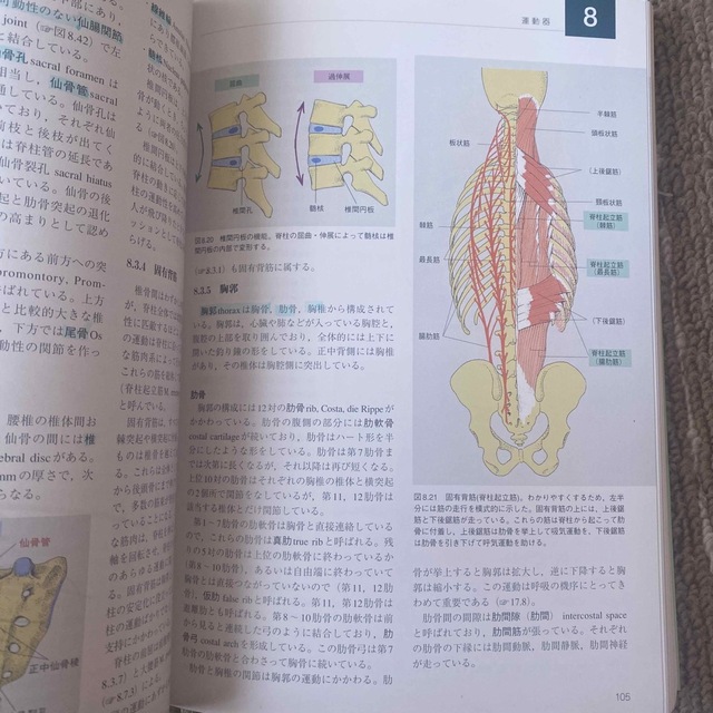 からだの構造と機能 エンタメ/ホビーの本(健康/医学)の商品写真