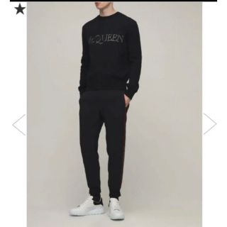 アレキサンダーマックイーン(Alexander McQueen)のAlexander McQUEEN ニット(ニット/セーター)