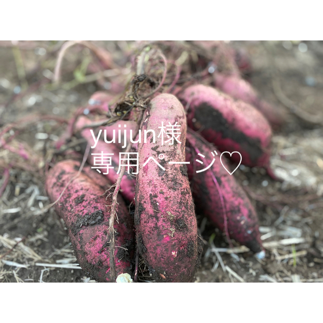 yuijun様専用ページ♡紅はるかの通販 by なぁ |ラクマ